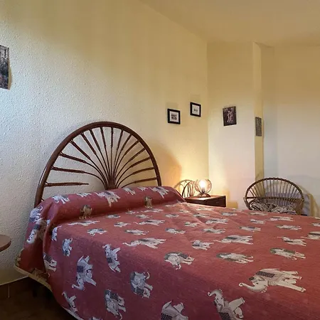 Lägenhet Mezzanine 5 Couchages Sur Bn060-002 Banyuls-sur-Mer